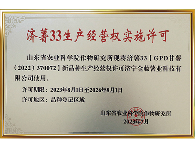 济薯33生产经营权实施许可
