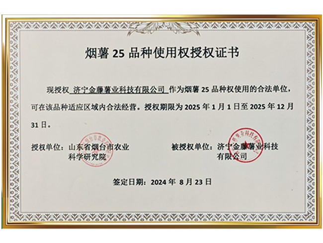 烟薯25品种使用权授权证书