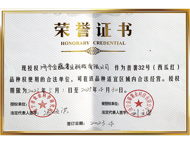 荣誉证书